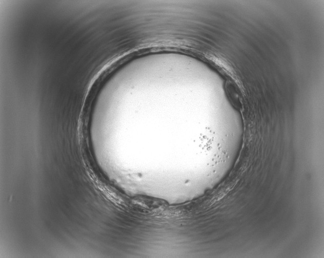 X0000067870928200605041803