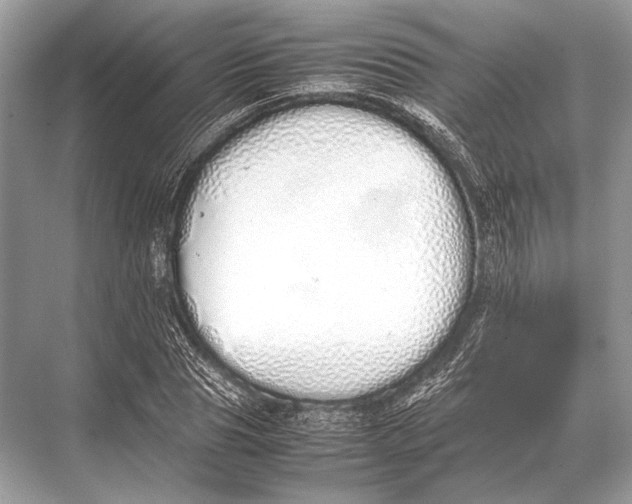 X0000067870929200605041803