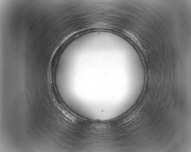 X0000067870931200605041803