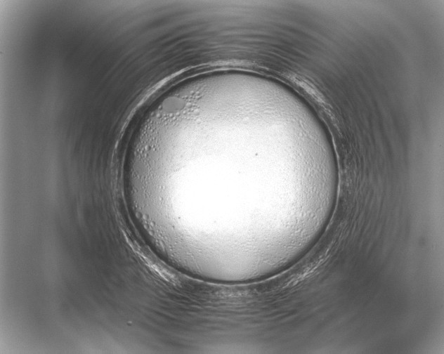 X0000067870933200605041803