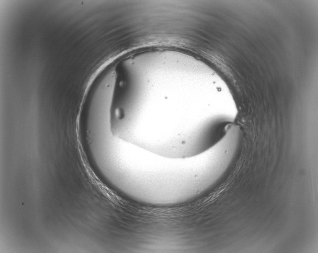 X0000067870936200605041803