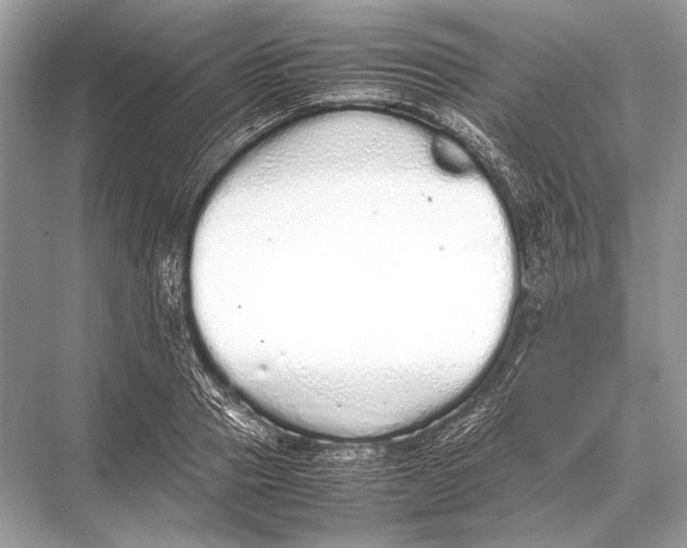 X0000067870937200605041803