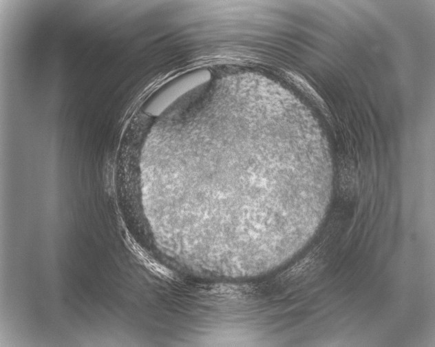 X0000067870938200605041803