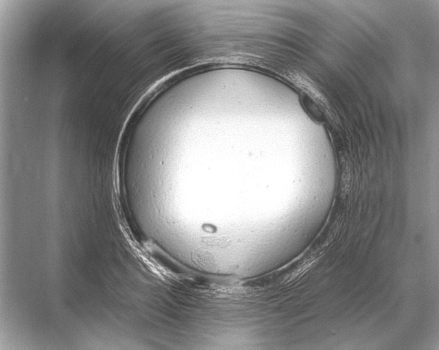 X0000067870940200605041803