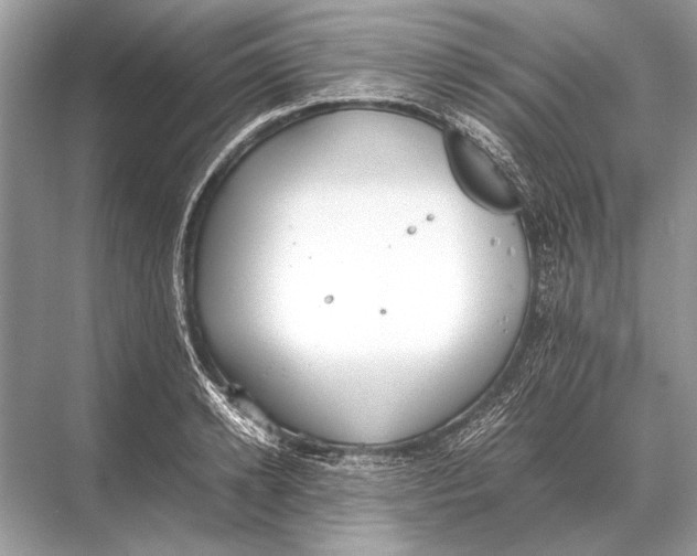 X0000067870942200605041803