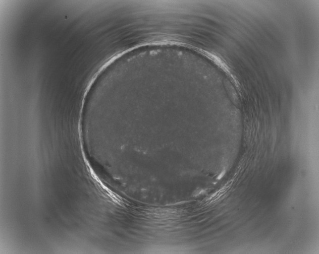 X0000067870943200605041803