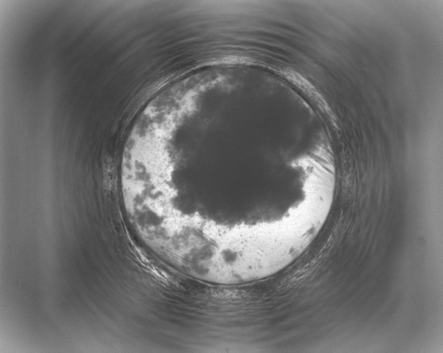 X0000067870945200605041803