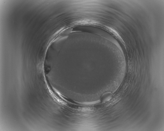 X0000067870946200605041803