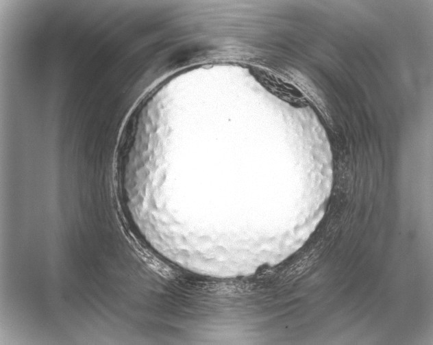 X0000067870948200605041804