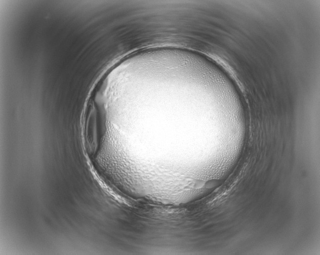 X0000067870949200605041804