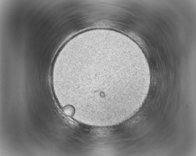 X0000067870950200605041804