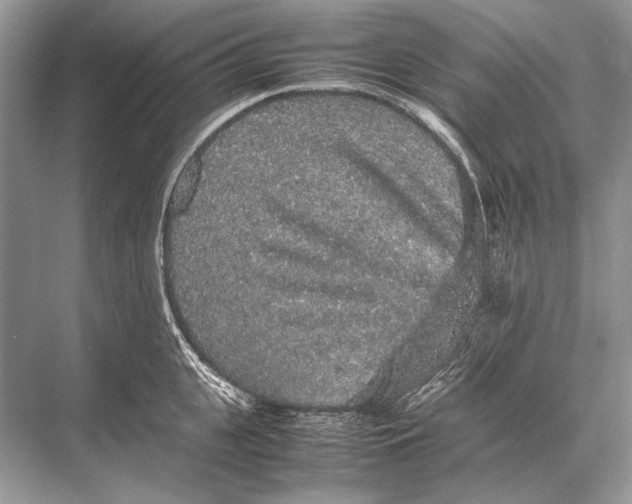 X0000067870951200605041804