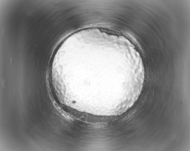 X0000067870952200605041804