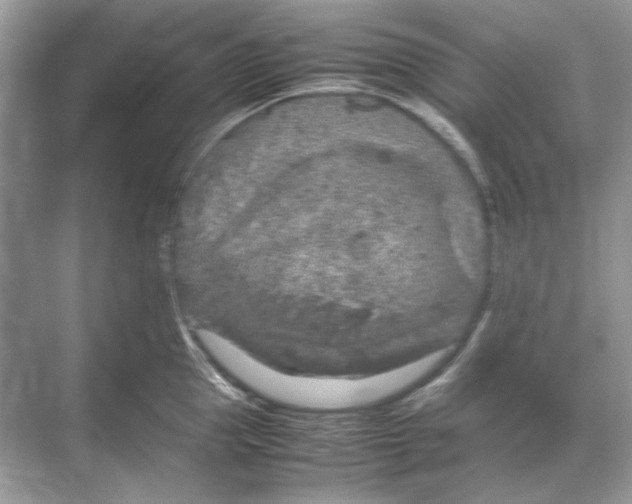 X0000067870953200605041804