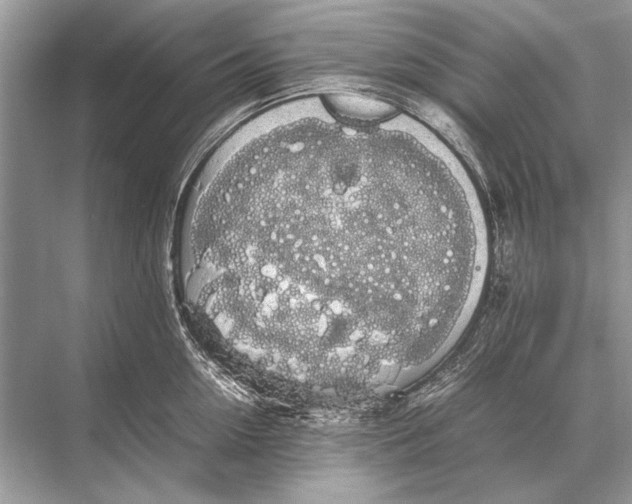 X0000067870954200605041804