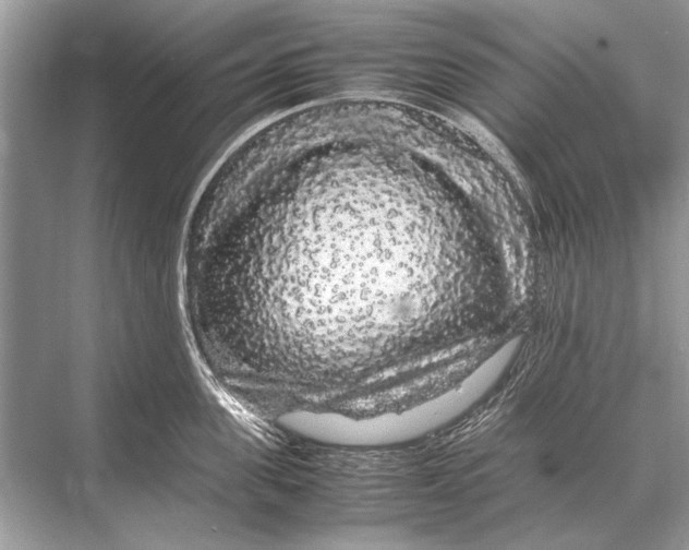 X0000067870955200605041804