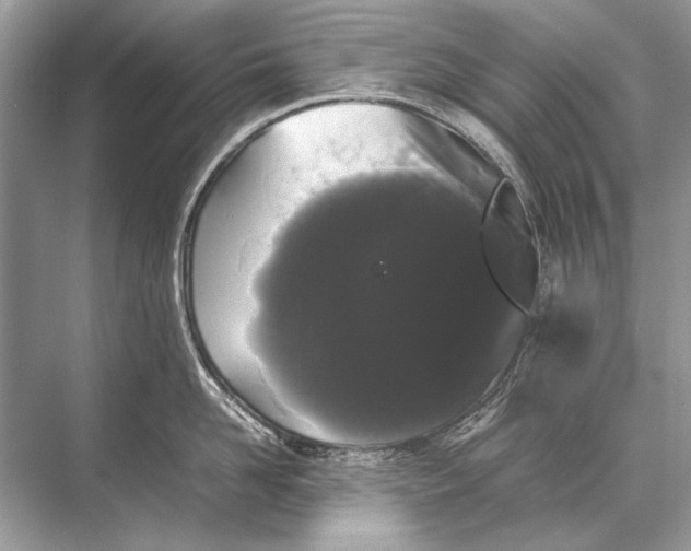 X0000067870958200605041804