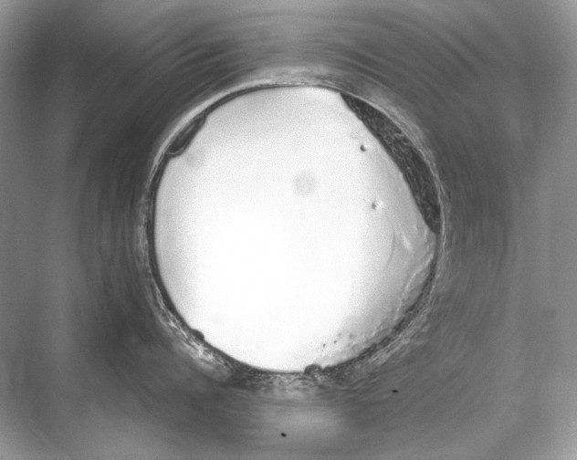 X0000067870960200605041804