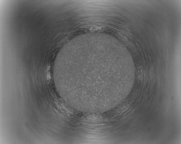 X0000067870962200605041803