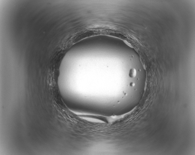 X0000067870965200605041803