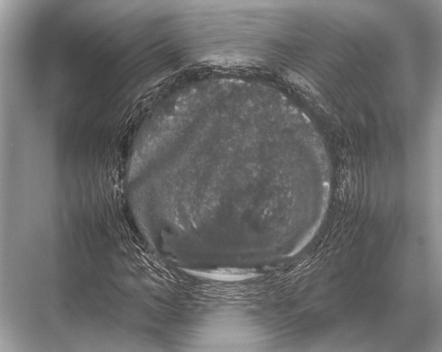 X0000067870966200605041803