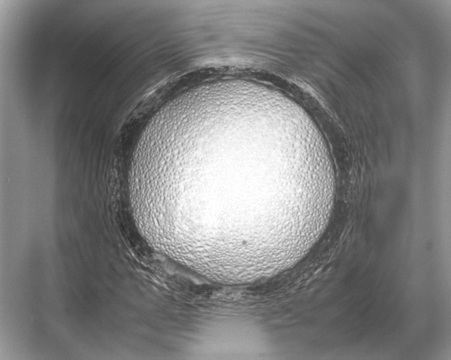 X0000067870967200605041803