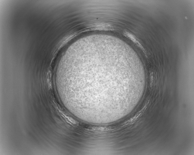 X0000067870970200605041803