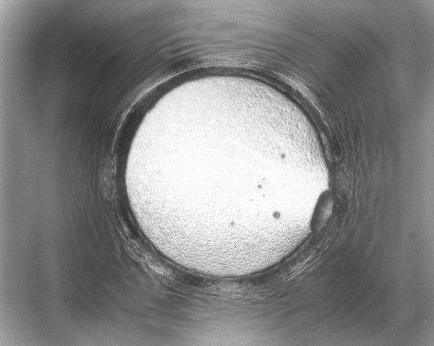 X0000067870971200605041803