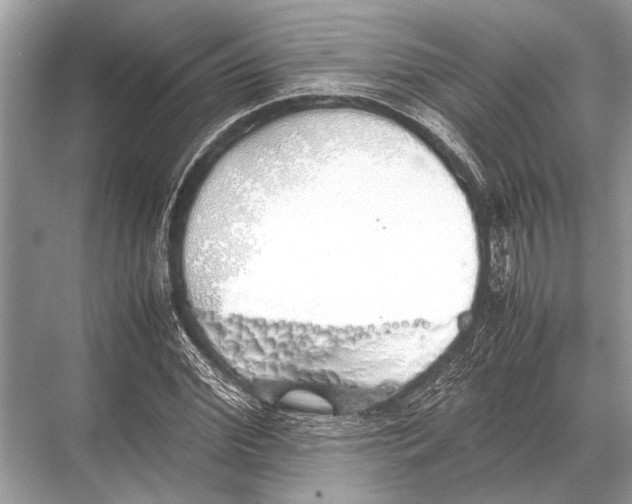 X0000067870972200605041803