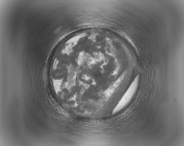 X0000067870975200605041803