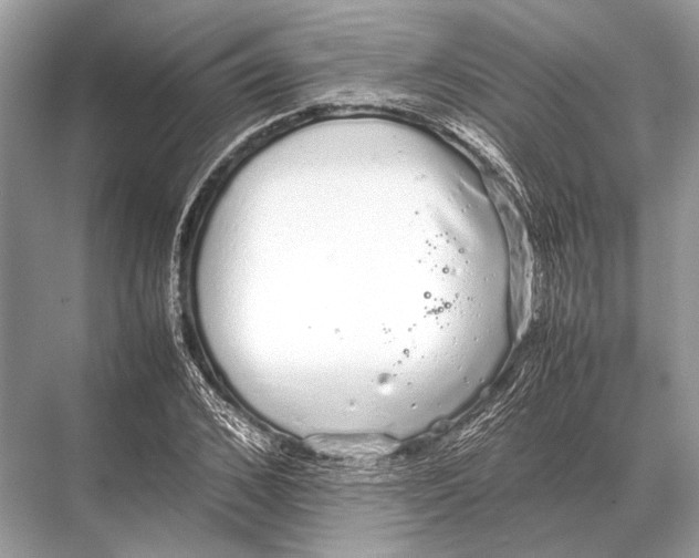 X0000067870976200605041803