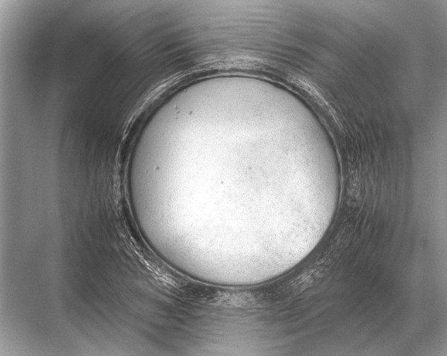 X0000067870978200605041803