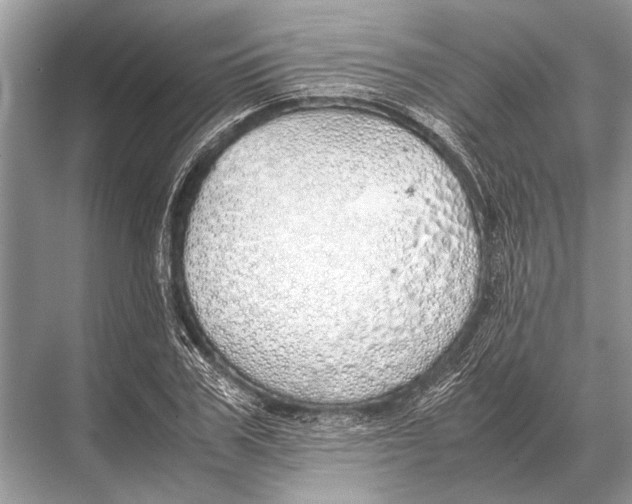 X0000067870979200605041803