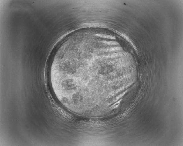 X0000067870983200605041803