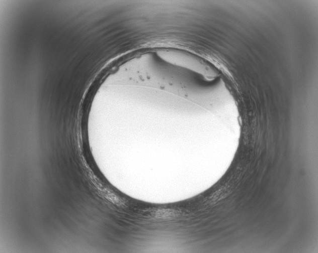 X0000067870984200605041803