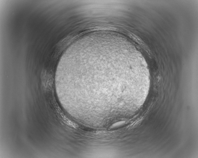 X0000067870985200605041803