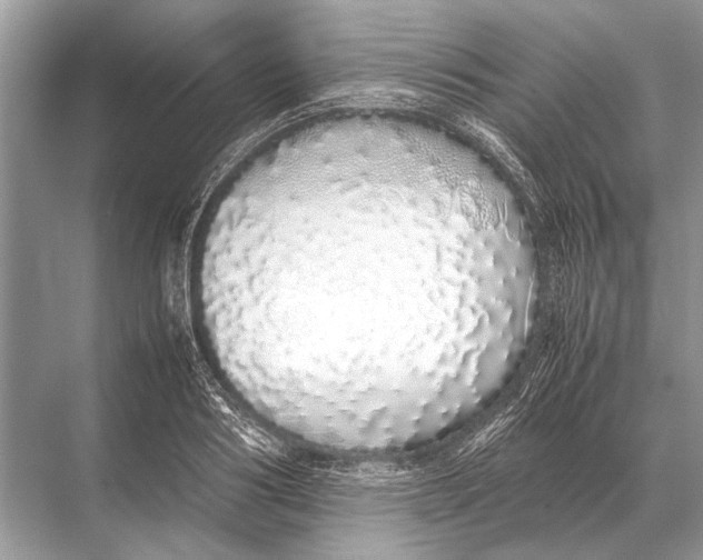 X0000067870986200605041803