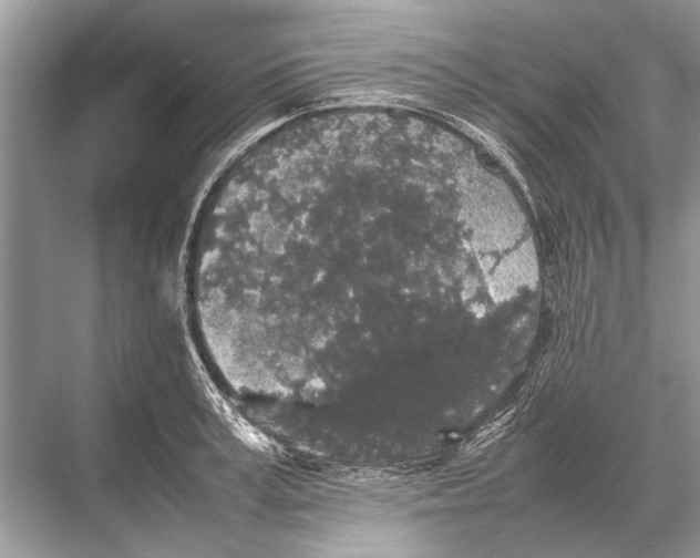 X0000067870995200605041802