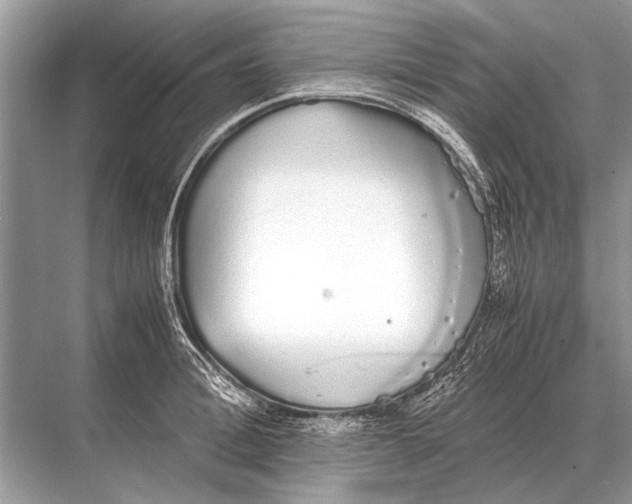 X0000067870996200605041802