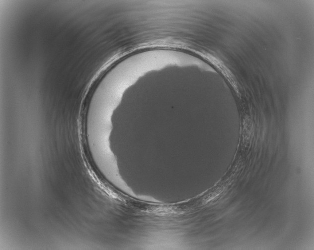 X0000067870998200605041802