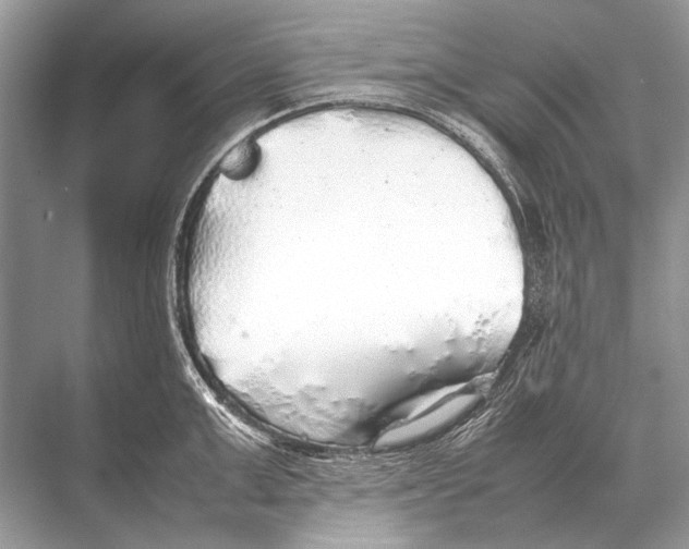 X0000067870999200605041802