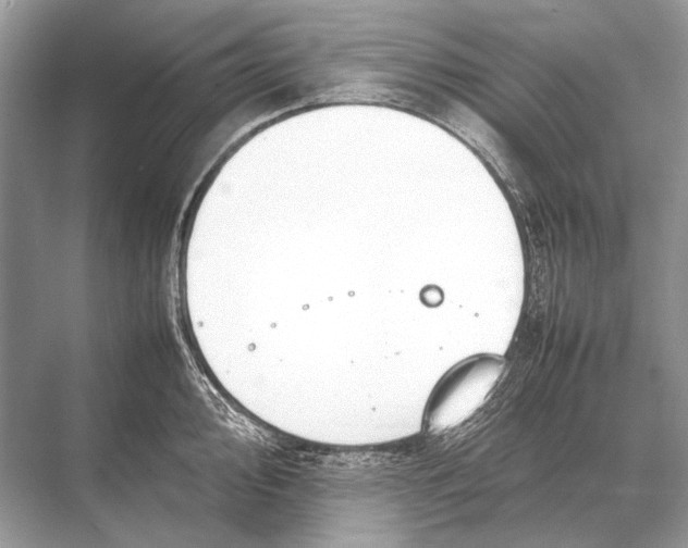 X0000067871000200605041802