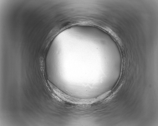 X0000067871001200605041802