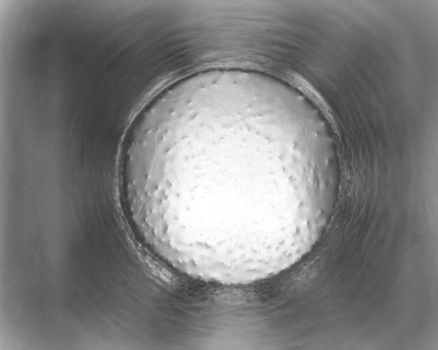 X0000067871002200605041802