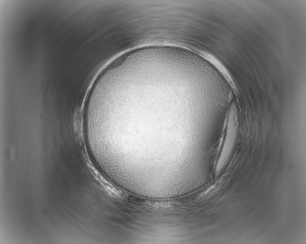 X0000067871004200605041802