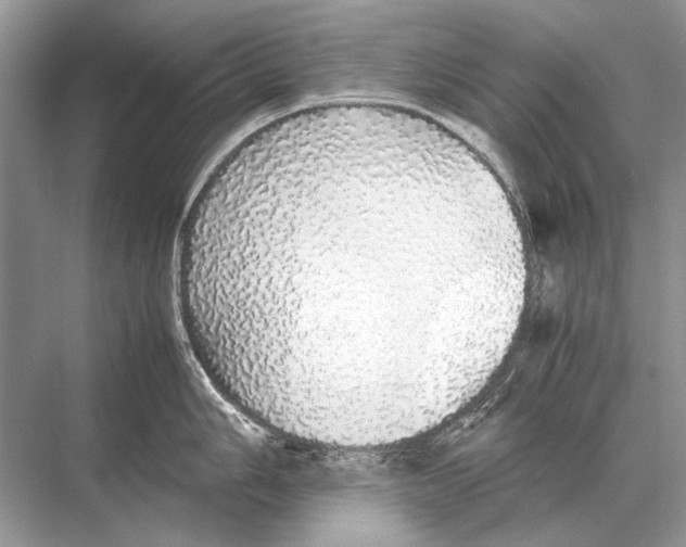 X0000067871006200605041802