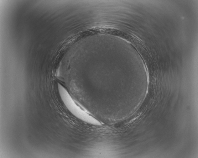 X0000067871014200605041801