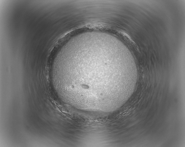 X0000067871016200605041801