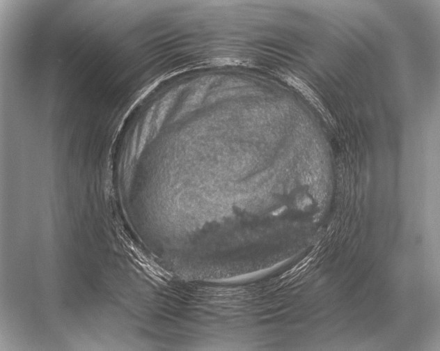 X0000067871023200605041802