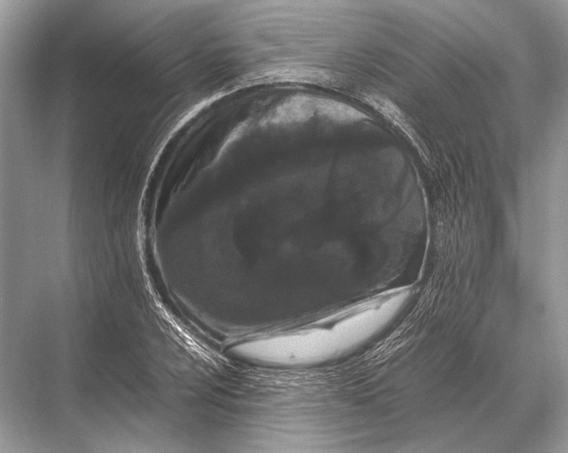 X0000067871024200605041802